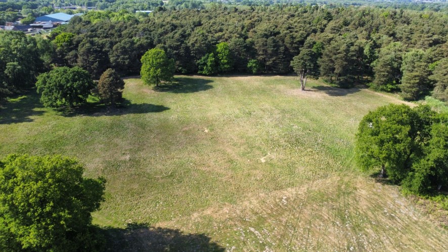 Lot Image