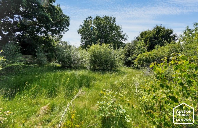 Lot Image
