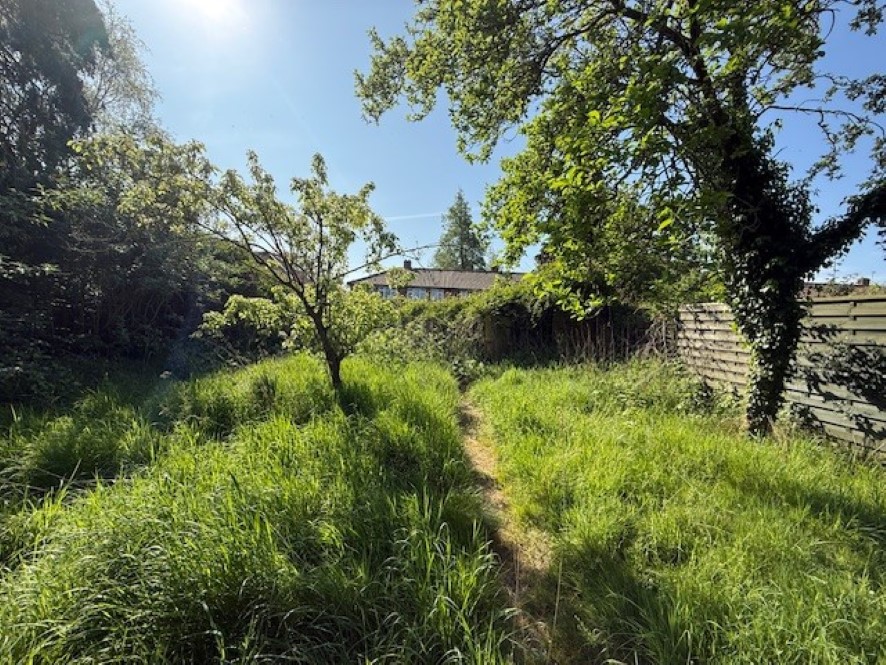 Lot Image