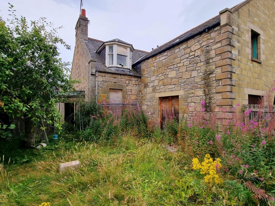 Lot Image