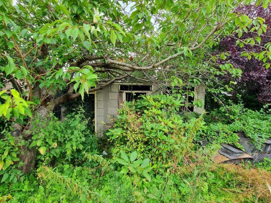 Lot Image