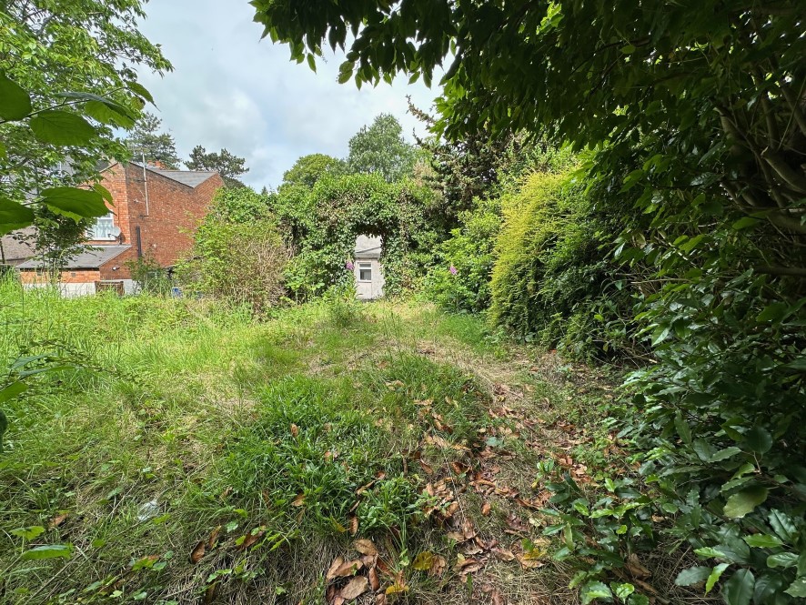 Lot Image