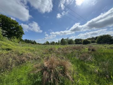 Property for Auction in East Anglia - Land off, Catchback Lane, Reepham, Norfolk NR10 4QU