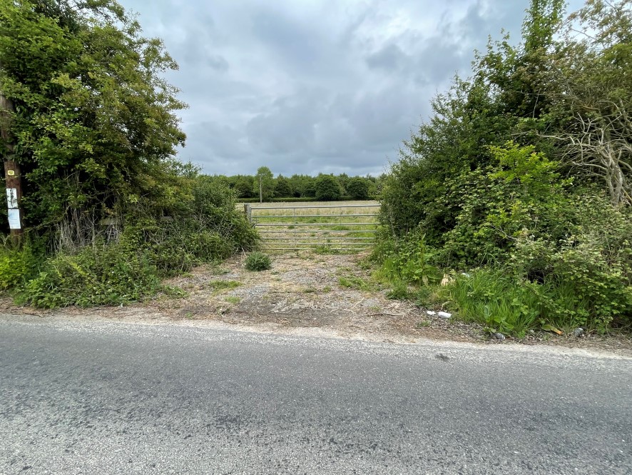 Lot Image