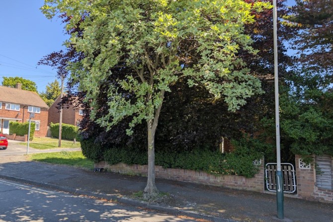 Lot Image