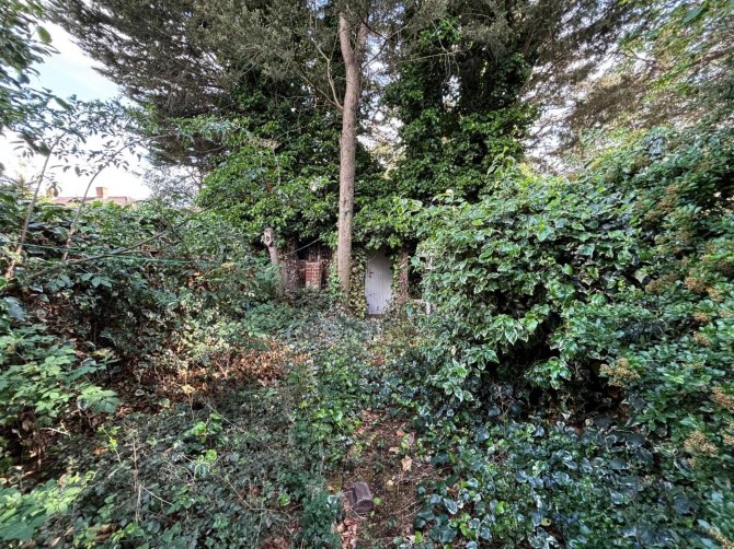 Lot Image