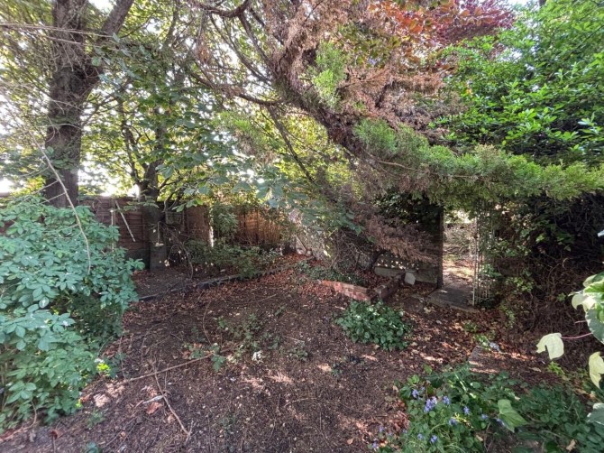 Lot Image