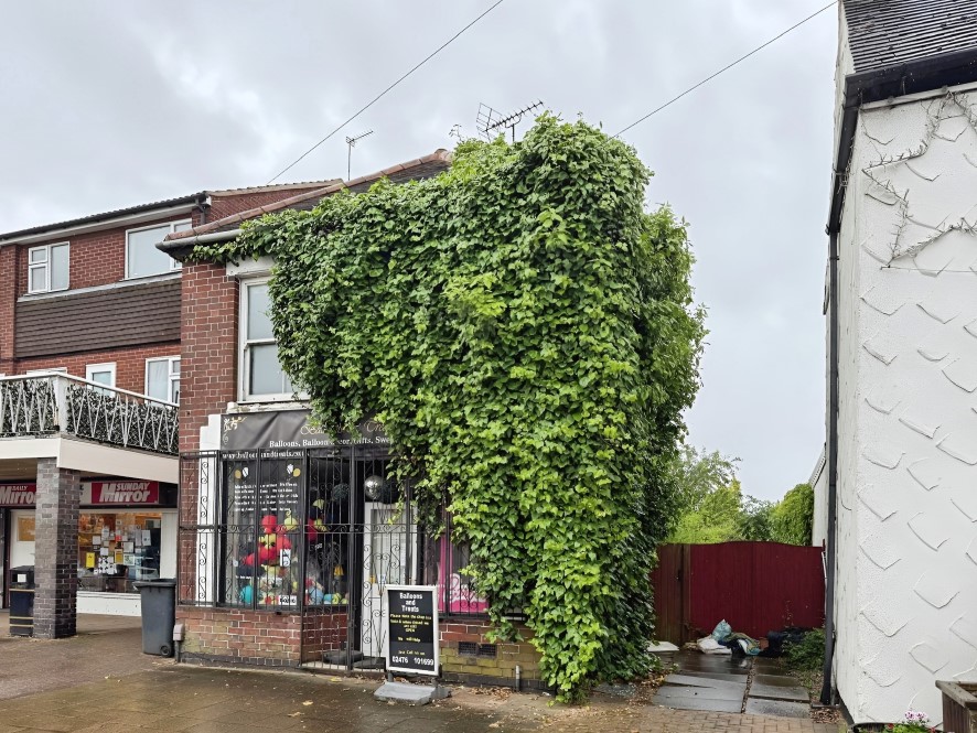 Lot Image