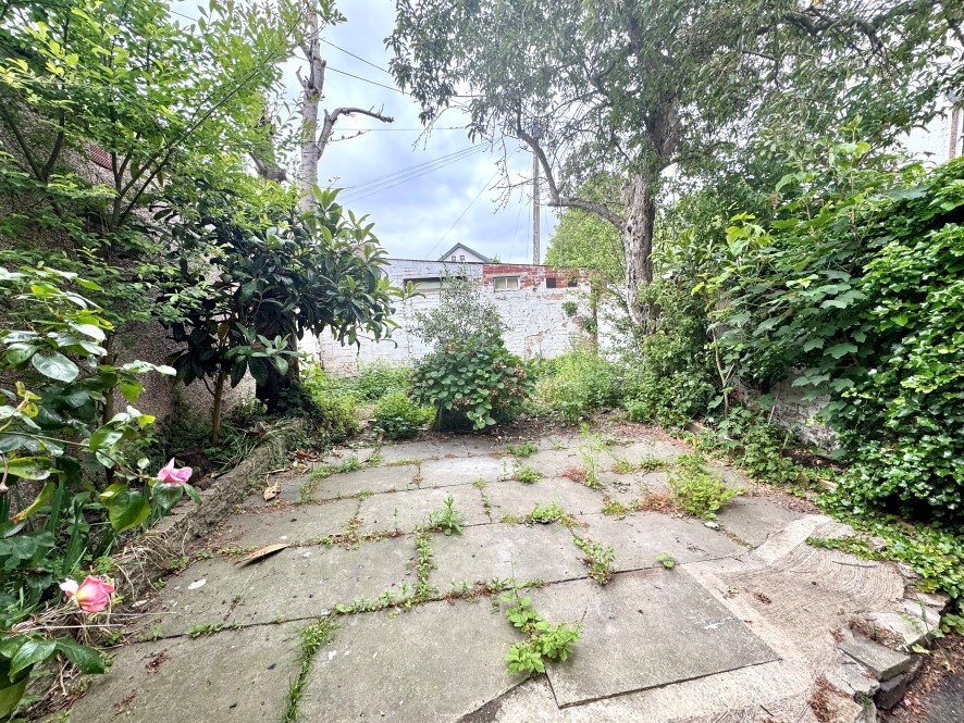 Lot Image