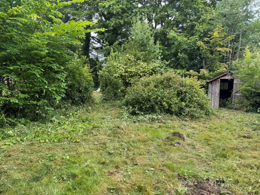 Lot Image