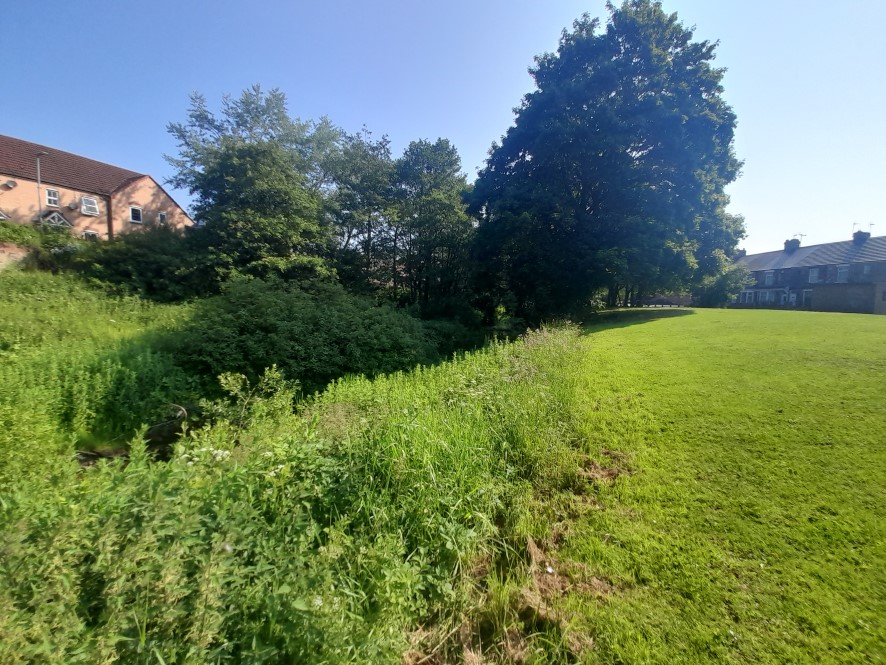 Lot Image