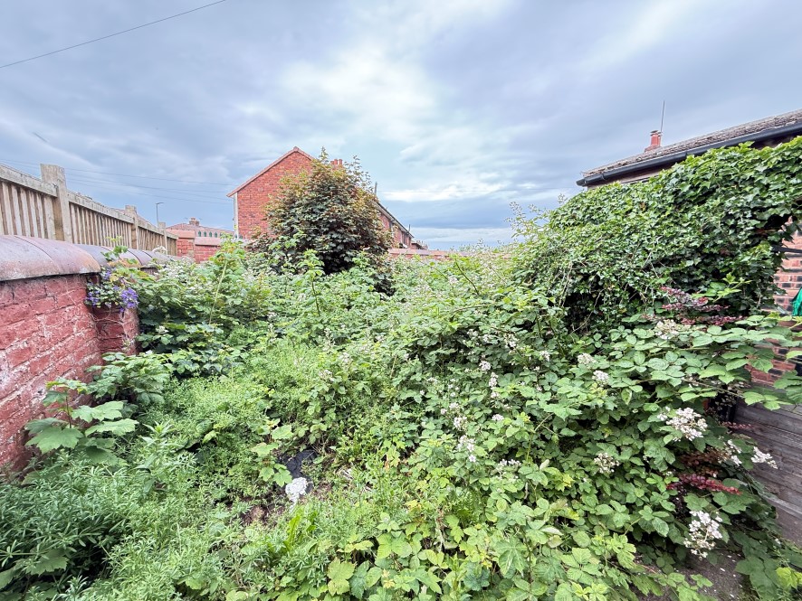 Lot Image