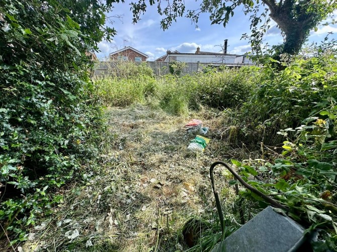 Lot Image