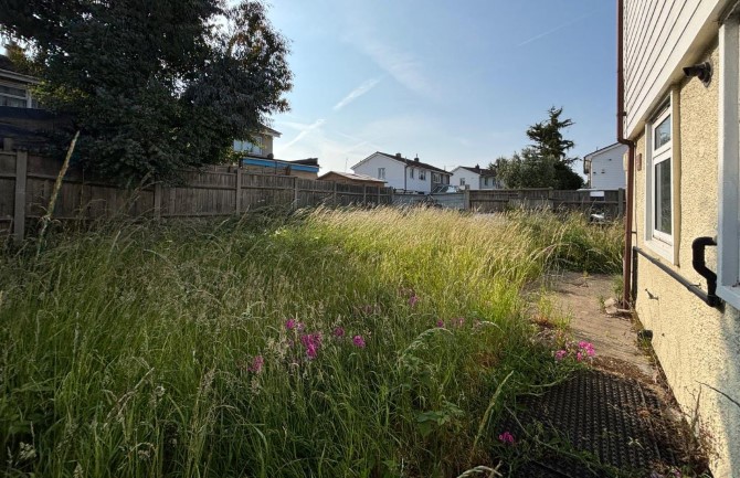 Lot Image