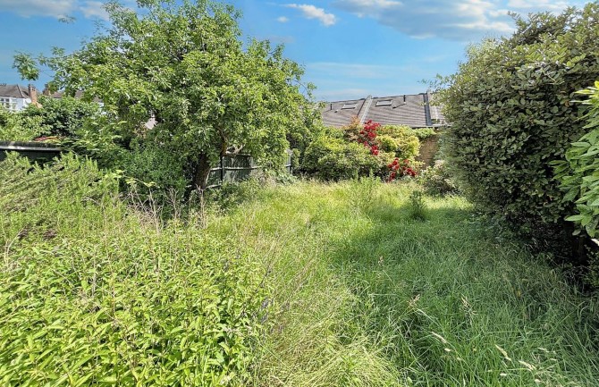Lot Image