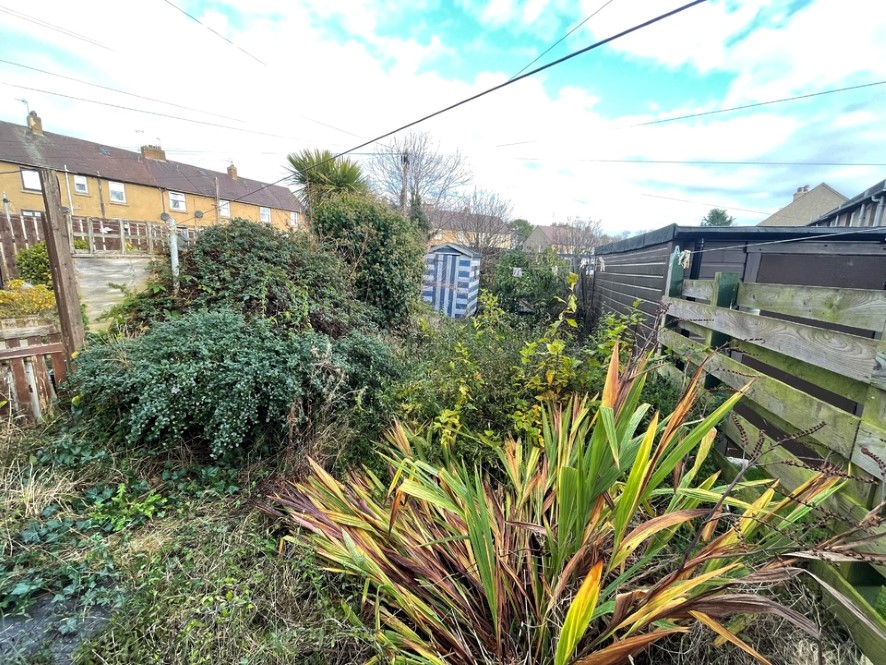 Lot Image