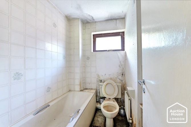 Lot Image