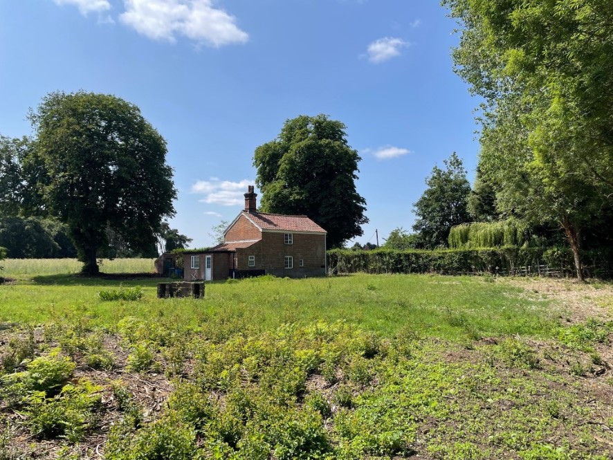 Lot Image