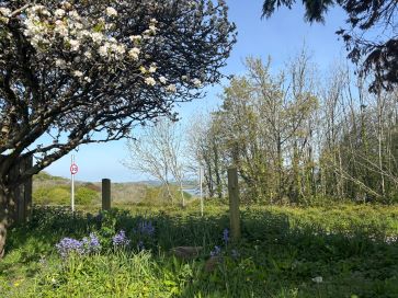 Property for Auction in South West - Land North East of Yet an Lor, Antony Hill, Antony, Torpoint, Cornwall PL11 3AB