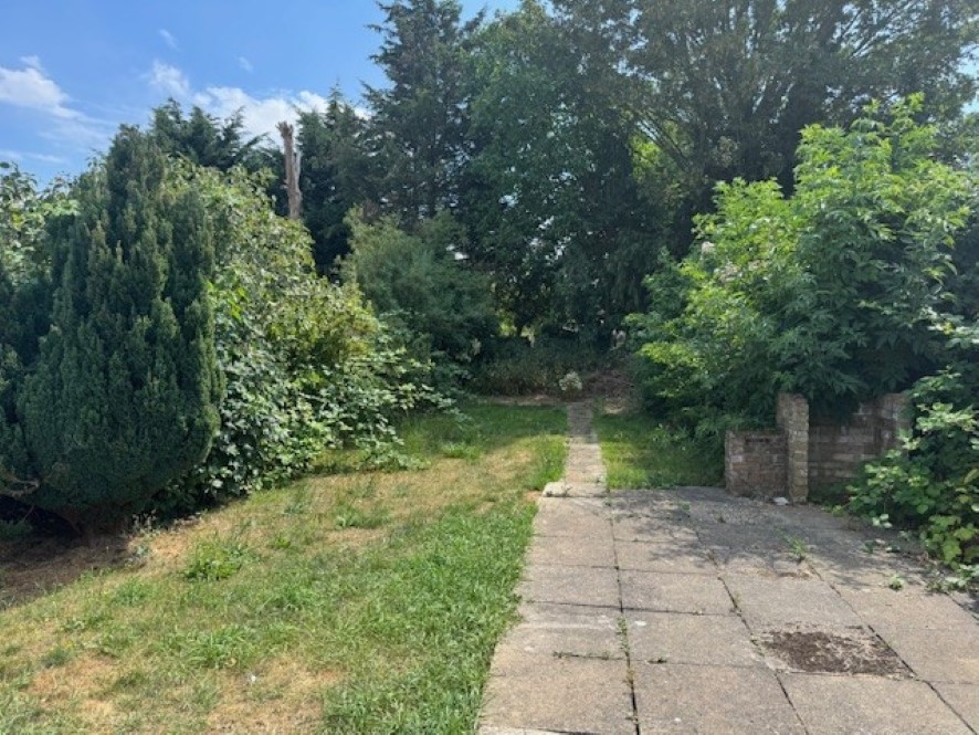 Lot Image