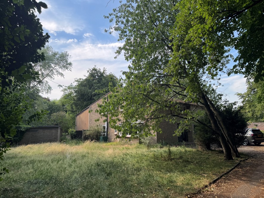Lot Image