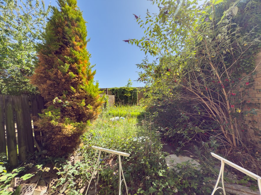 Lot Image