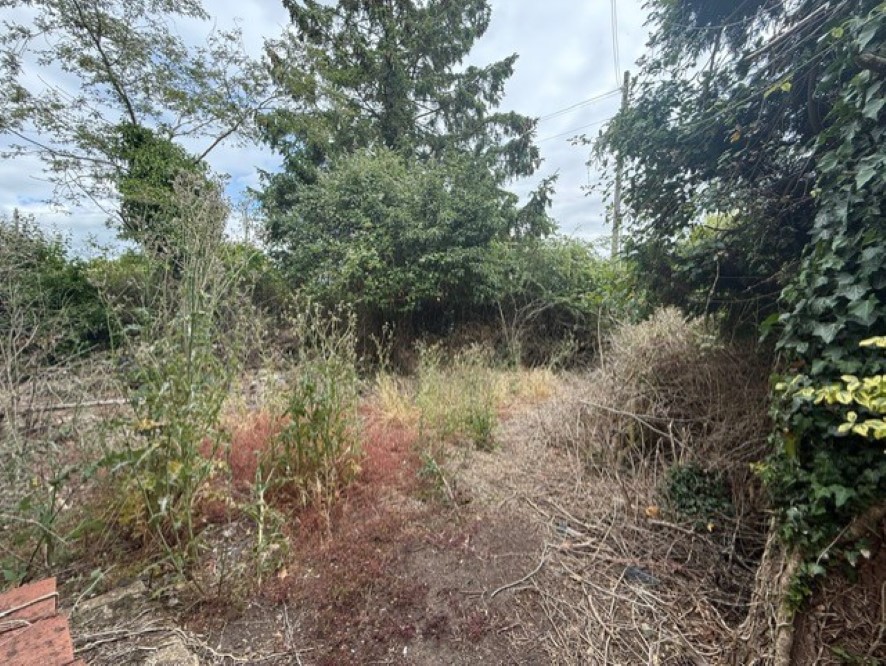Lot Image