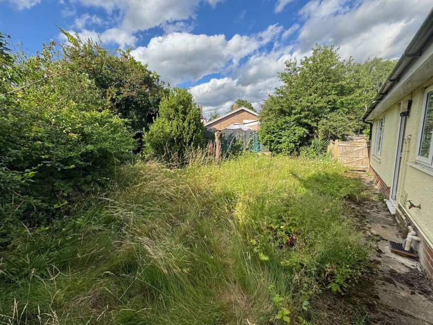 Lot Image
