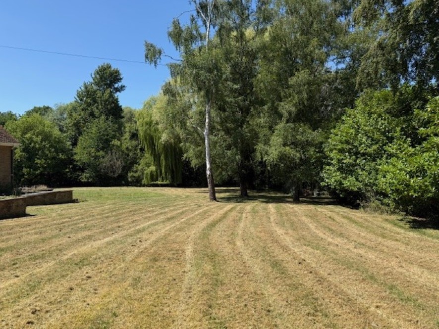 Lot Image