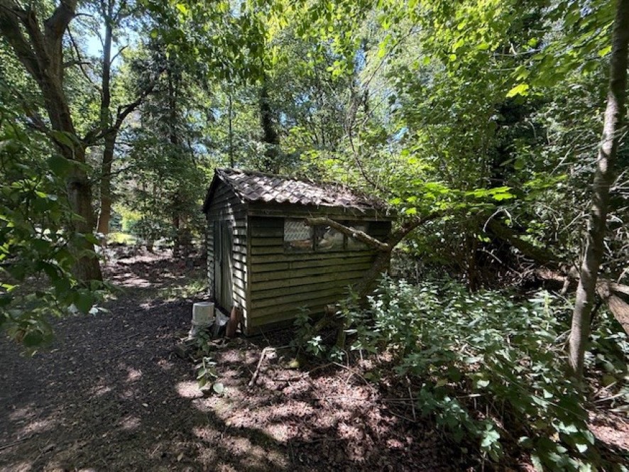 Lot Image
