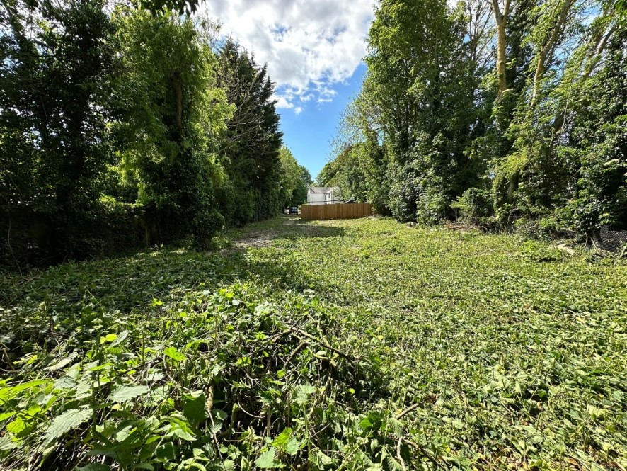 Lot Image