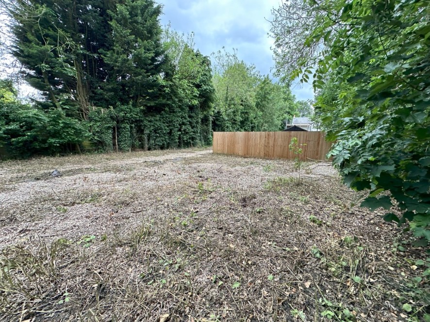 Lot Image