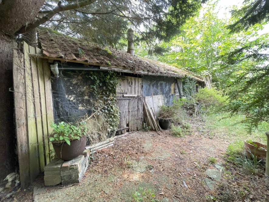 Lot Image