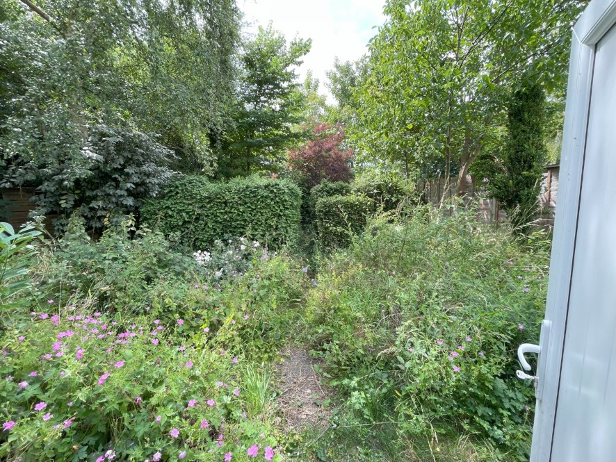 Lot Image