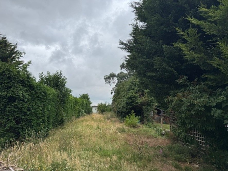Lot Image