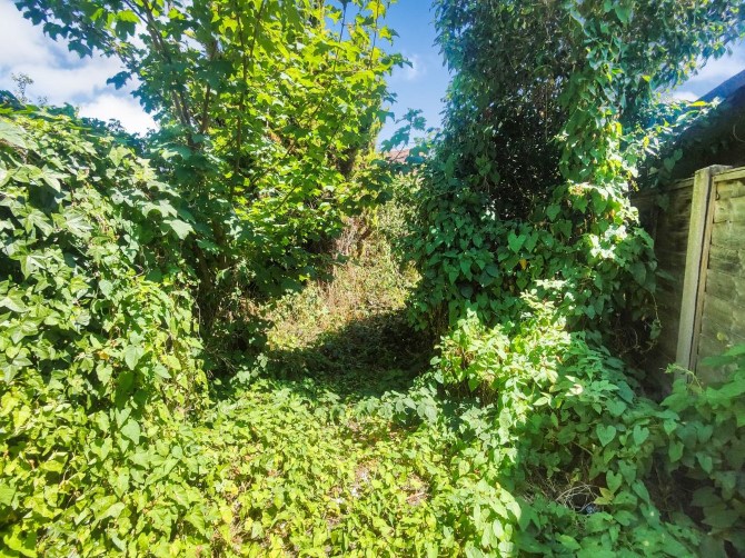 Lot Image