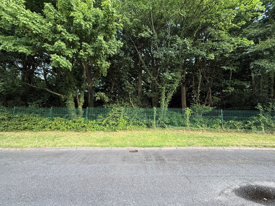 Lot Image
