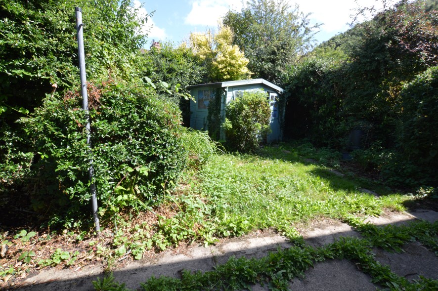 Lot Image