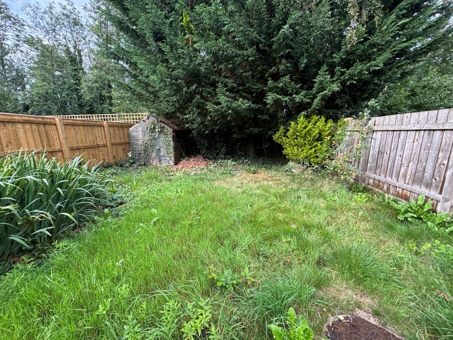 Lot Image