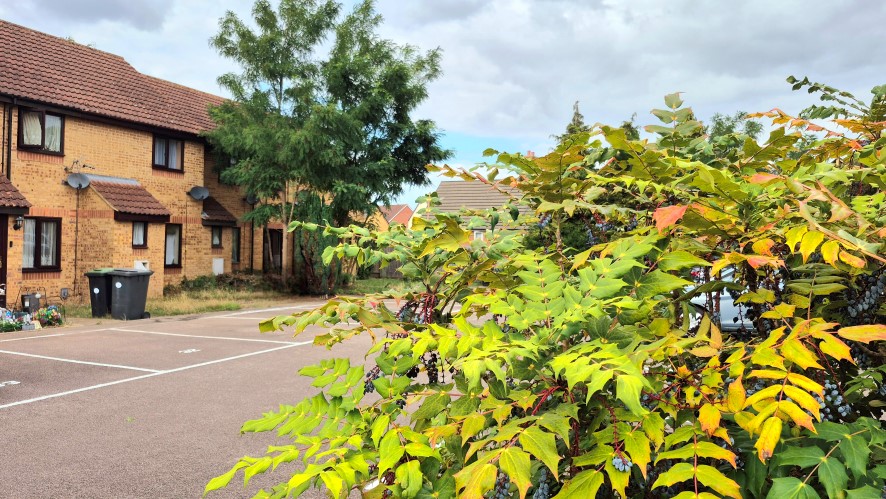Lot Image