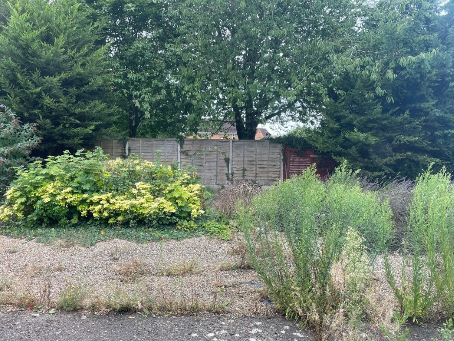 Lot Image