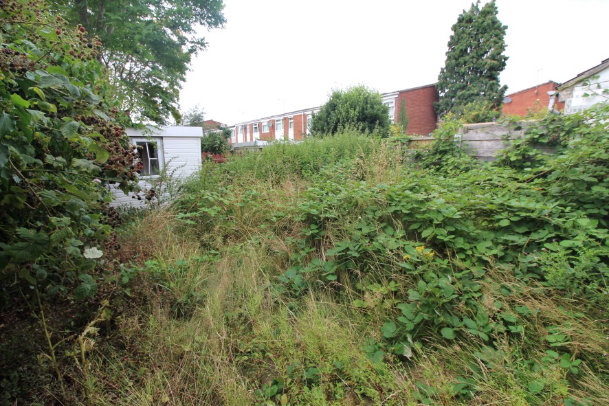 Lot Image