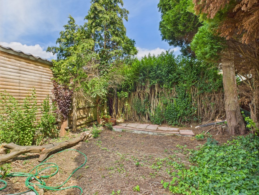 Lot Image