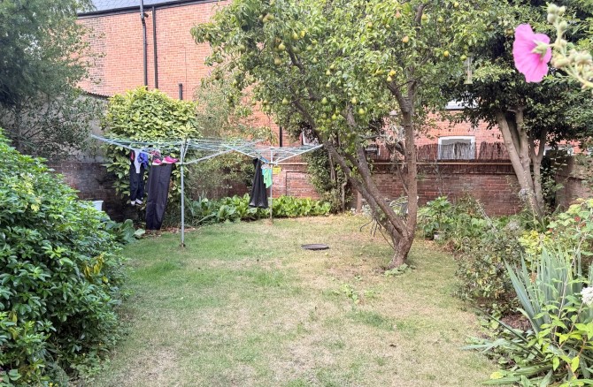 Lot Image