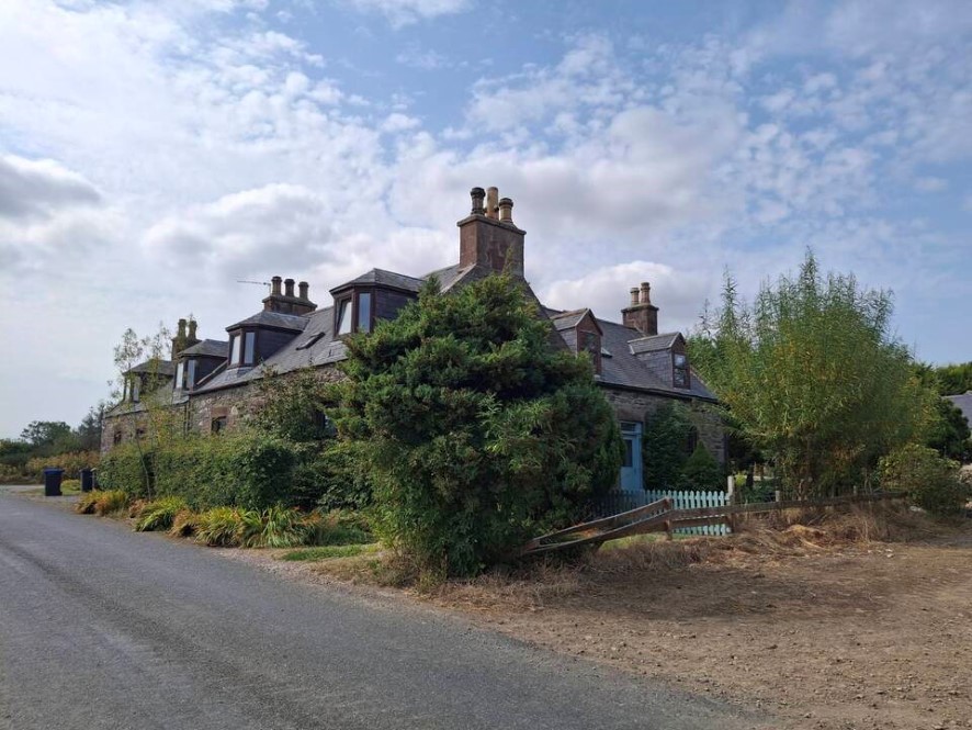Lot Image
