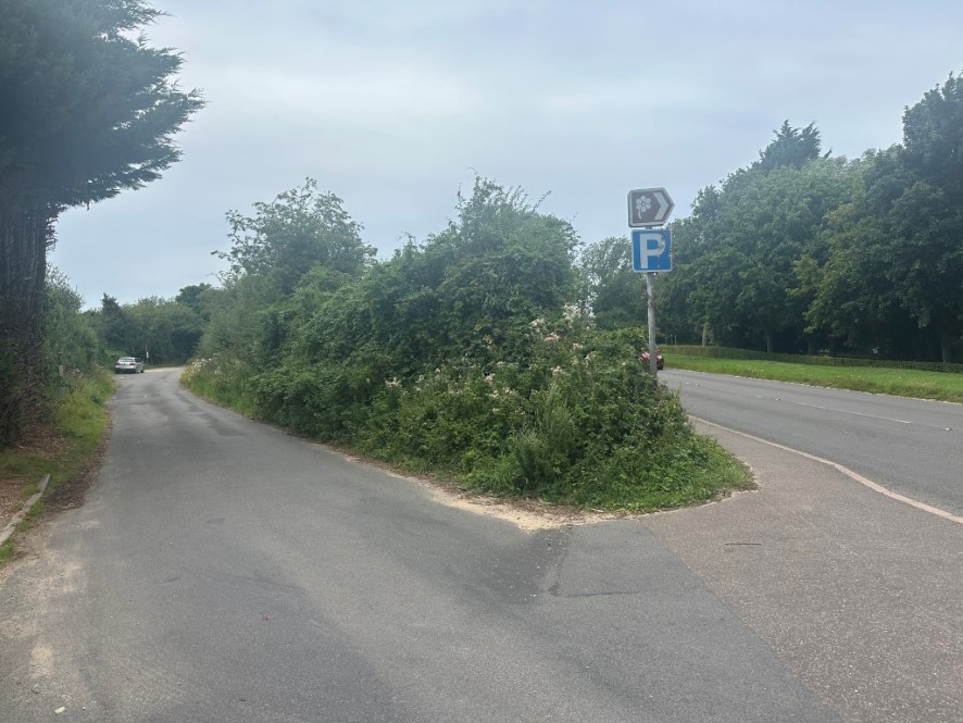 Lot Image