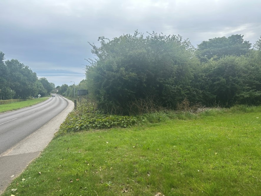 Lot Image