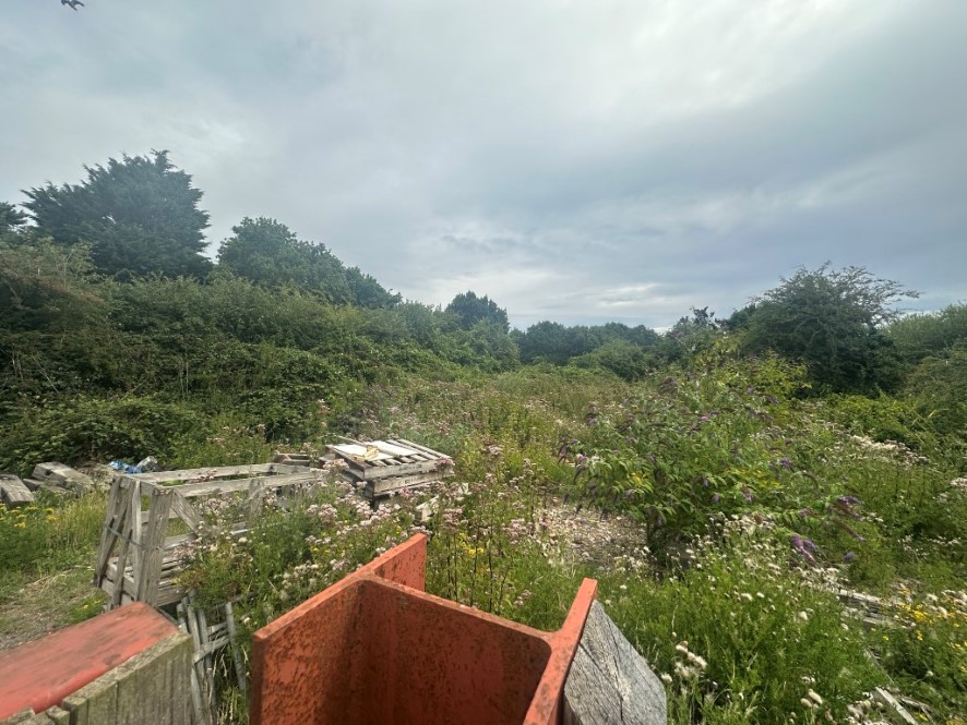 Lot Image