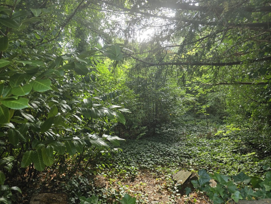 Lot Image