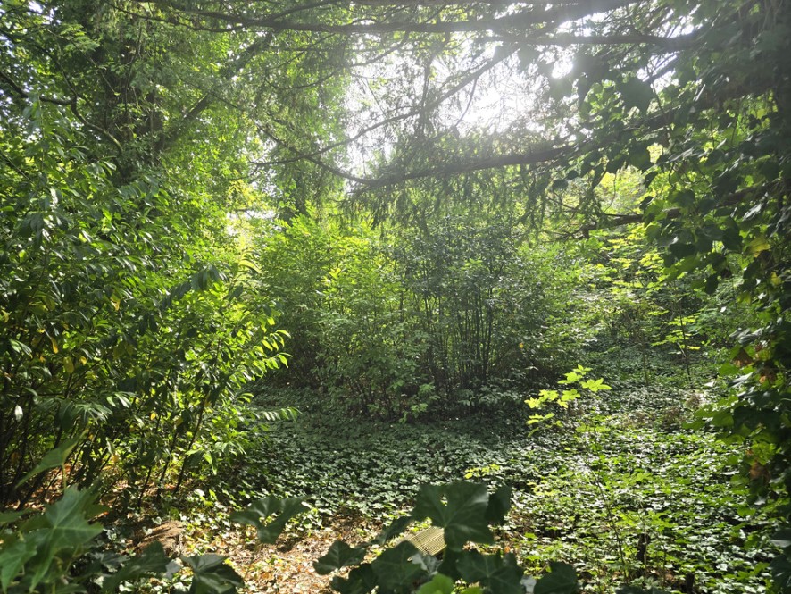 Lot Image
